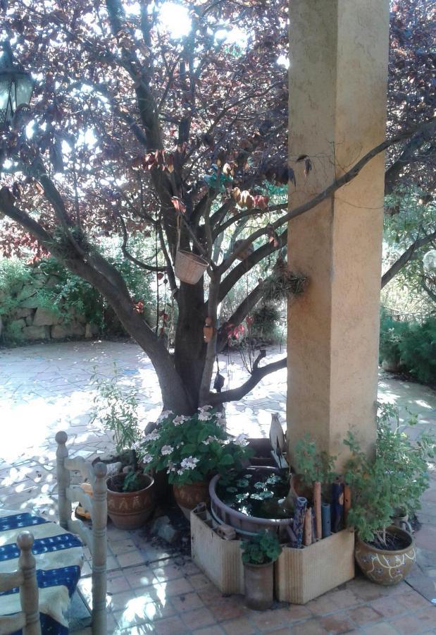 Atelier Pasquer Acomodação com café da manhã Fitou Exterior foto